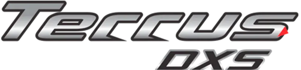 Terrus DXS Logo